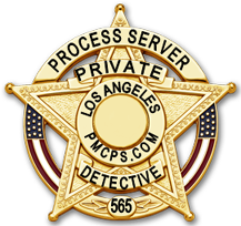 PRIVATE DETECTIVE & PROCESS SERVER
